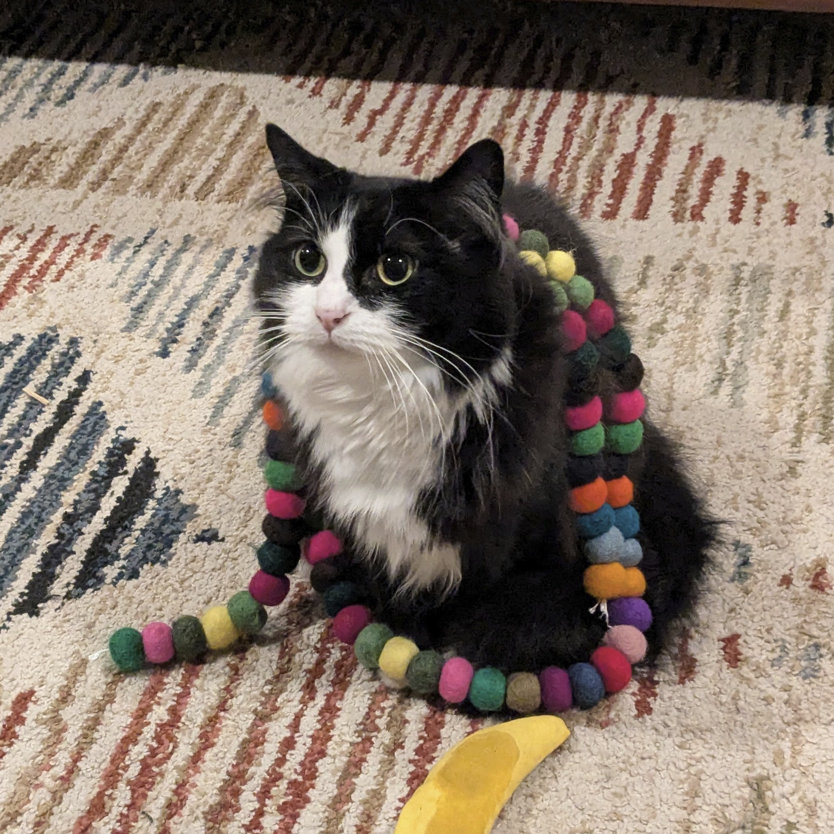 Juniper